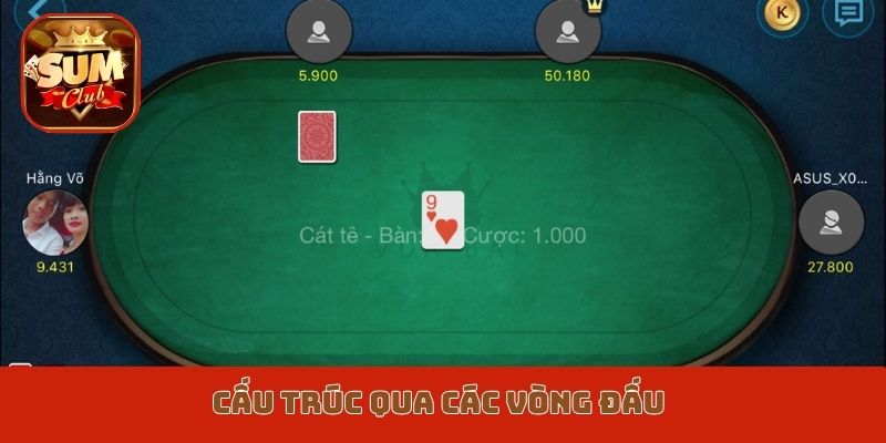 Cấu trúc qua các vòng đấu