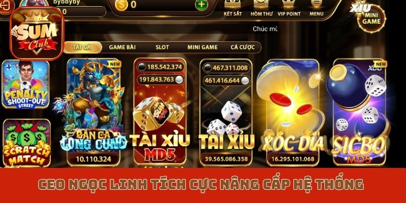 CEO Ngọc Linh tích cực nâng cấp hệ thống