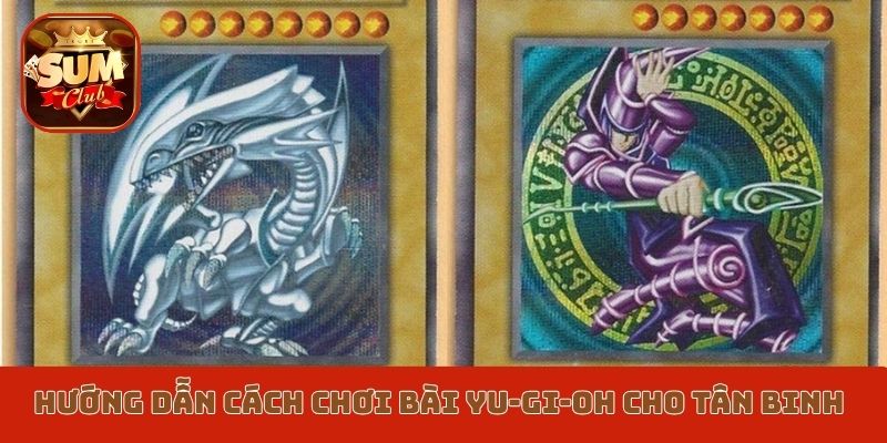 Hướng dẫn cách chơi bài Yu-Gi-Oh Sumclub cho tân binh
