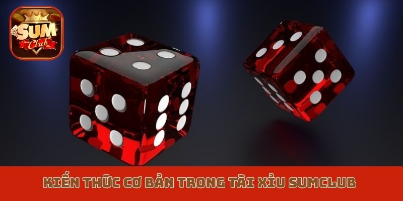 Kiến thức cơ bản trong Tài xỉu Sumclub