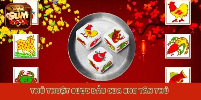 Thủ thuật cược bầu cua cho tân thủ