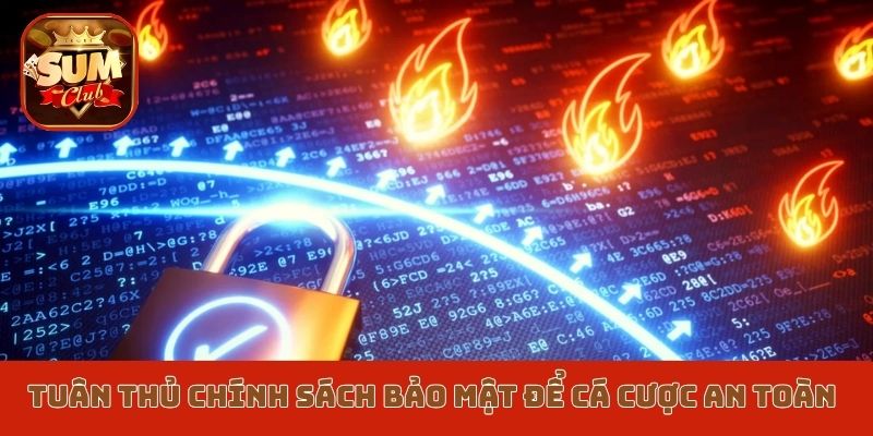 Tuân thủ chính sách bảo mật để cá cược an toàn